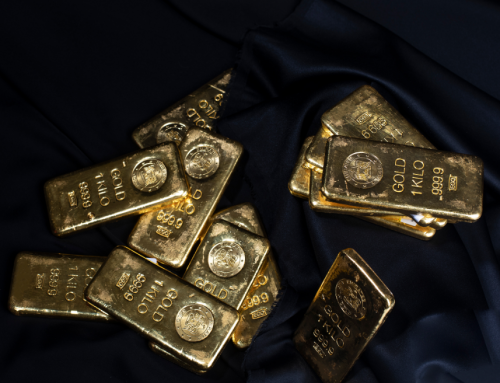 Expert & Professional